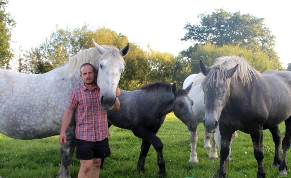 En Mayenne. Yoann et Guimauve : l’amitié entre l’éléveur et son cheval