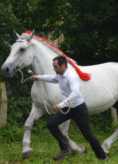 Saint-Hilaire-du-Maine. Un concours de chevaux au travail dimanche