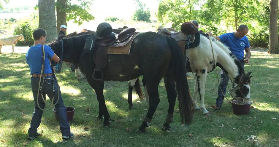 Le Coudray-Macouard. Equivini en selle au Petit-Bois depuis hier