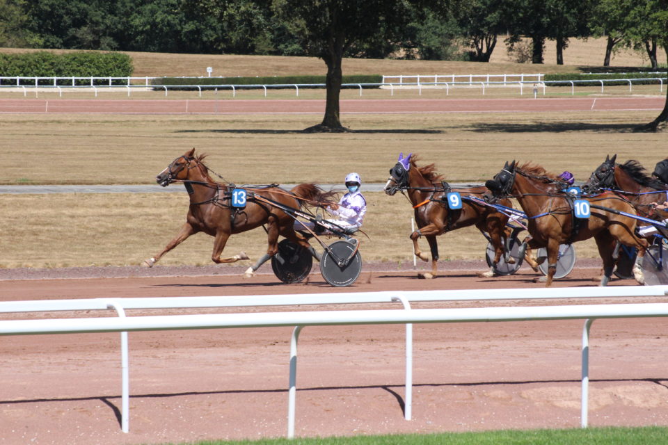 Châteaubriant : des courses hippiques  ce week-end sur l'hippodrome Métairie neuve