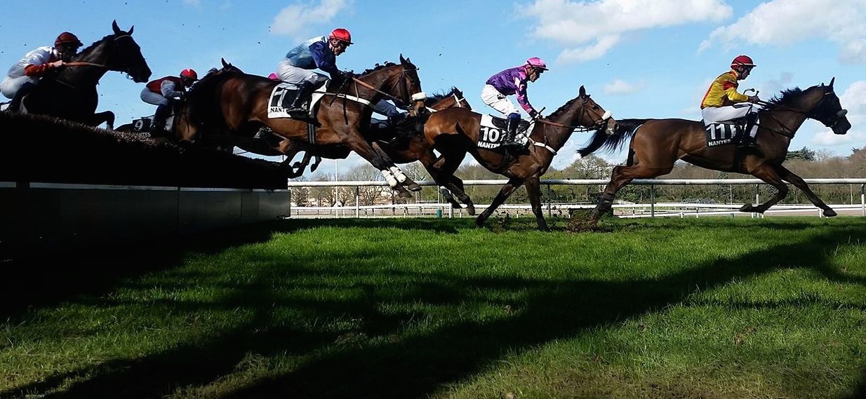 C’est la rentrée à l’hippodrome de Nantes !