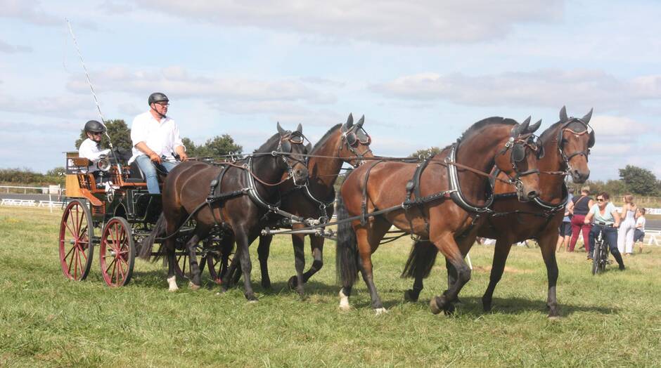 Meslay-du-Maine. 60 concurrents au concours d’attelage ce week-end