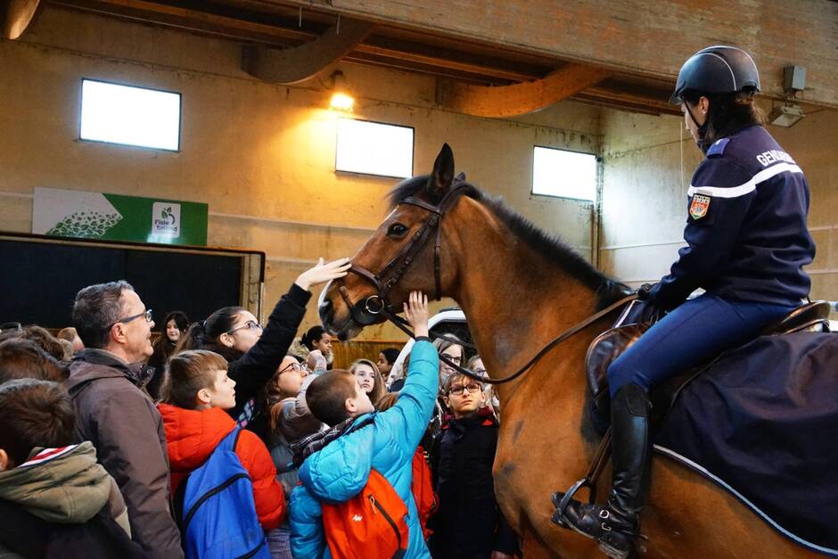 Saumur. La filière équine recrute