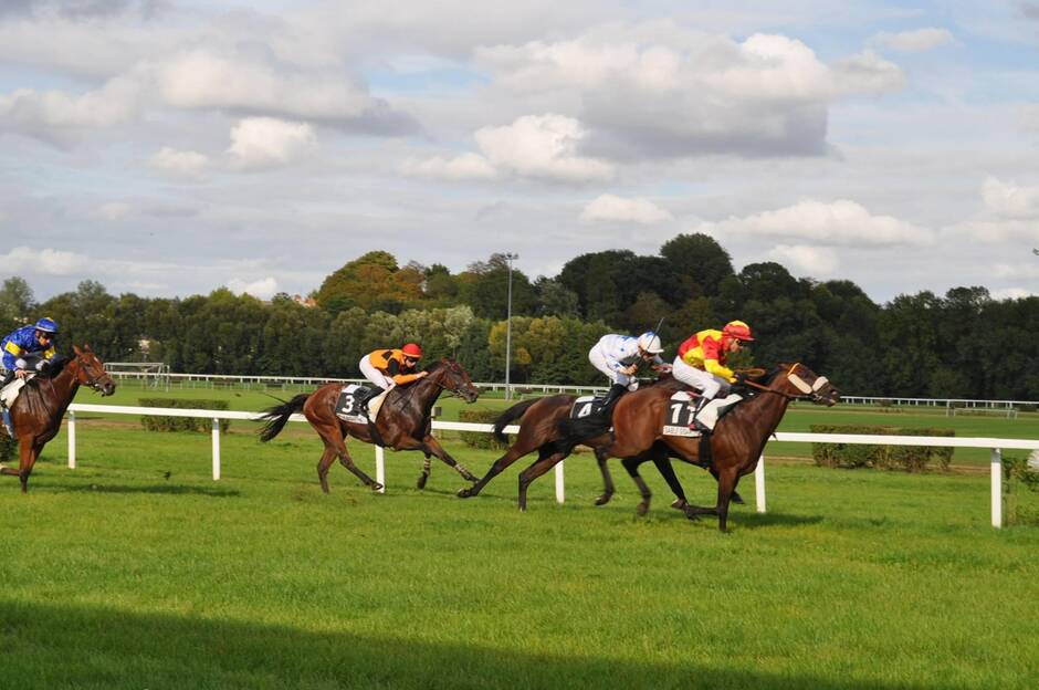 Sablé-sur-Sarthe. Du galop pour la dernière journée de courses hippiques