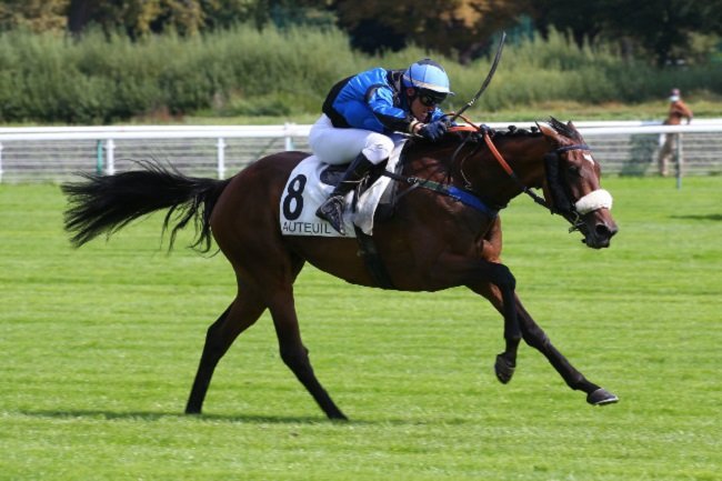 Olivier Jouin : portrait d'un jockey tout en sobriété et ténacité