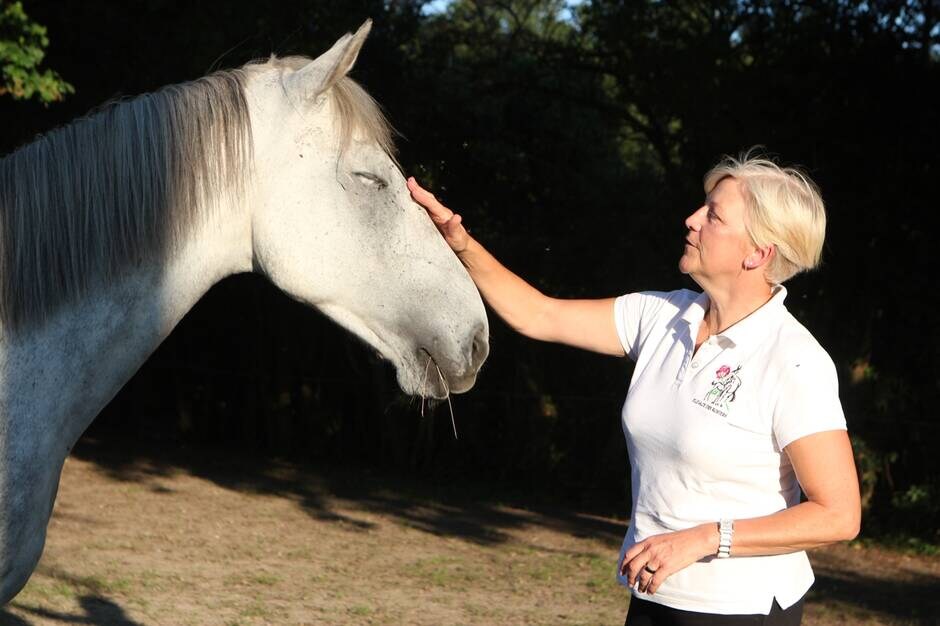 Bazouges-sur-le-Loir. Le cheval au service du mieux vivre ensemble