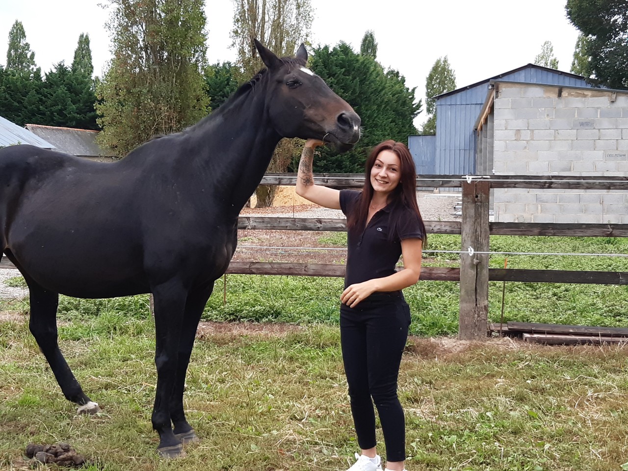 A Louvigné, Anaïs accueille les chevaux