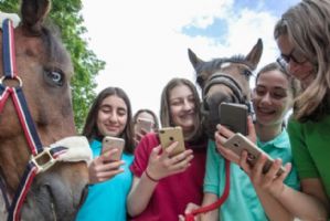 La Fédération Française d'Equitation mise sur le digital pour séduire le public