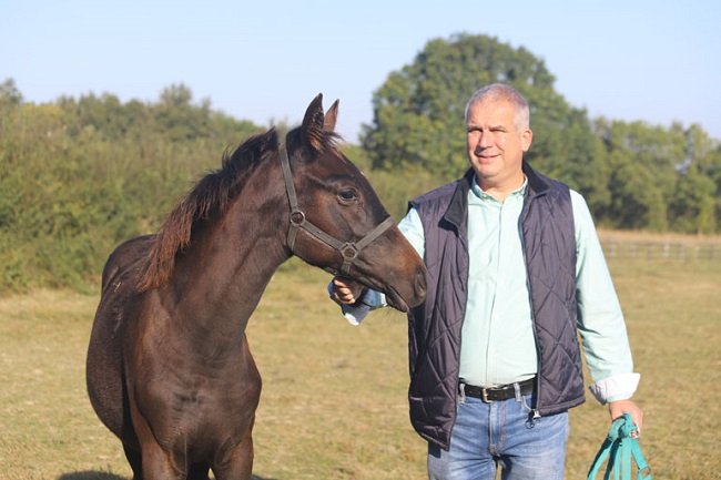 Tour d'horizon de l'élevage de David Robert