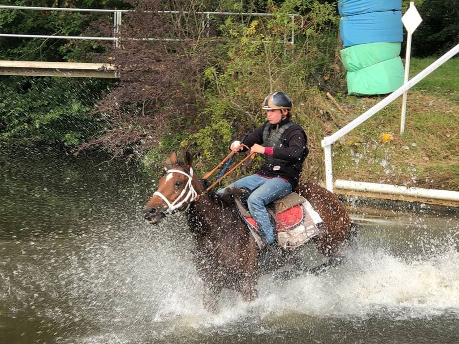 Nuillé-sur-Vicoin. Les chevaux mouillent le jarret aux courses hippiques