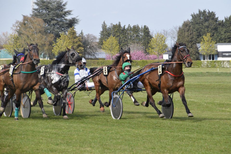 Des courses hippiques ce week-end sur l'hippodrome de Nort-sur-Erdre