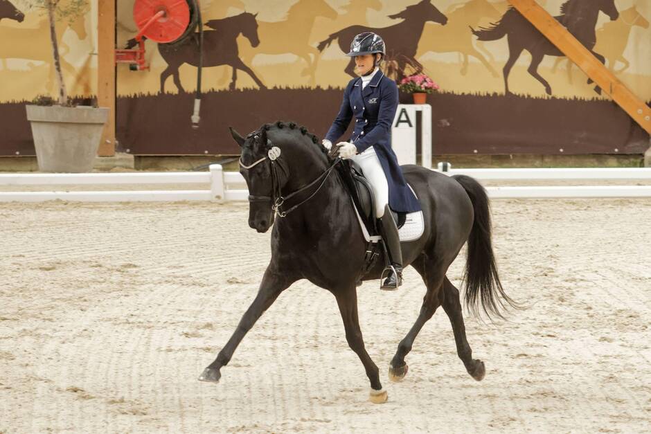 Sarthe. Au Boulerie Jump, place au dressage