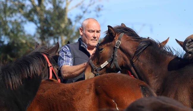 À la découverte de la nouvelle garde de Pierre de #Maleissyemelun