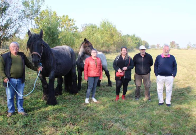 Le Langon. Une vente d’automne de traits poitevins