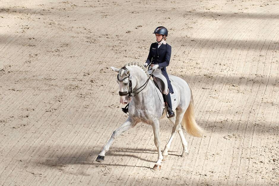 Équitation. Larissa Chapuis et Charlotte Chalvignac se mettent en évidence au Boulerie Jump