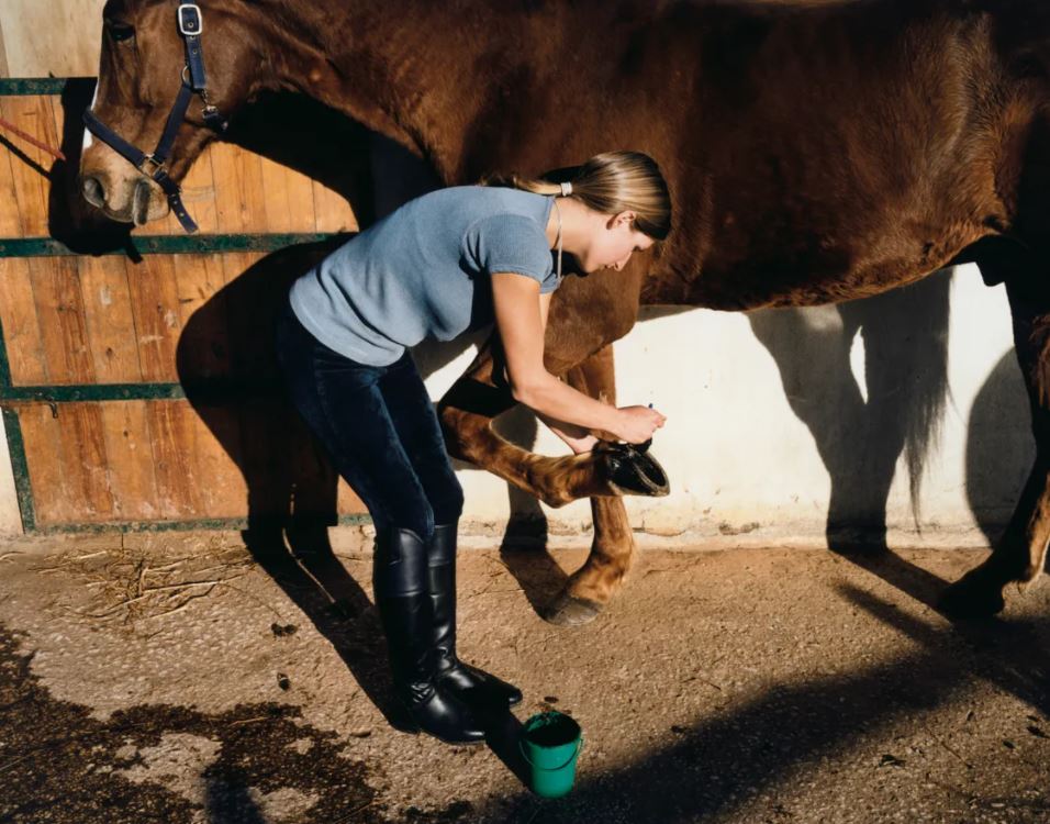 L'Equitation a besoin de bras mais n'en trouve pas !