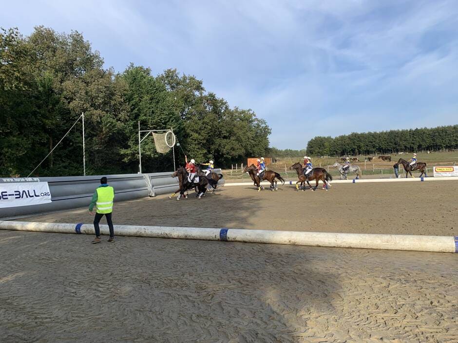 Saumur. Le horse-ball est de retour