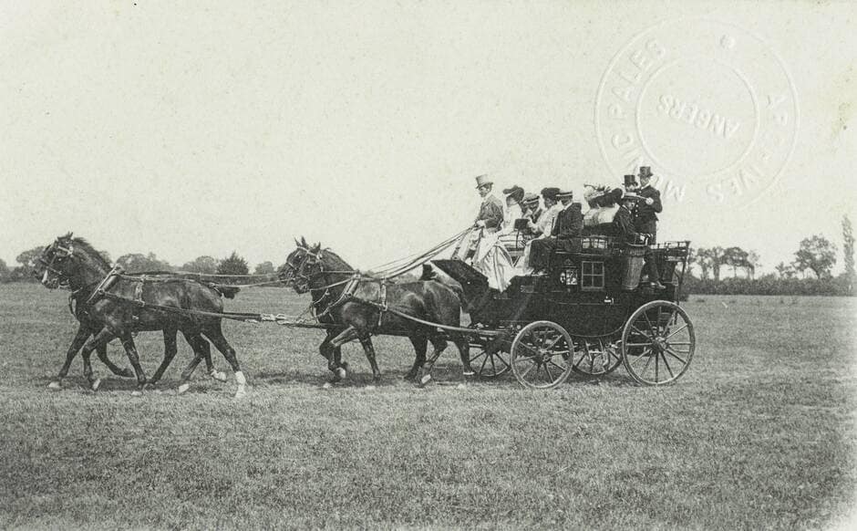 Angers. Le cheval et l’Anjou, une vocation dès 1593