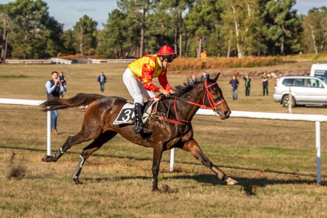 Le Grand Cross de Saumur pour Espoir, Marion et Julliot, le TNC - Haras du Lion pour Vent des Dunes, Quinton... et Julliot !