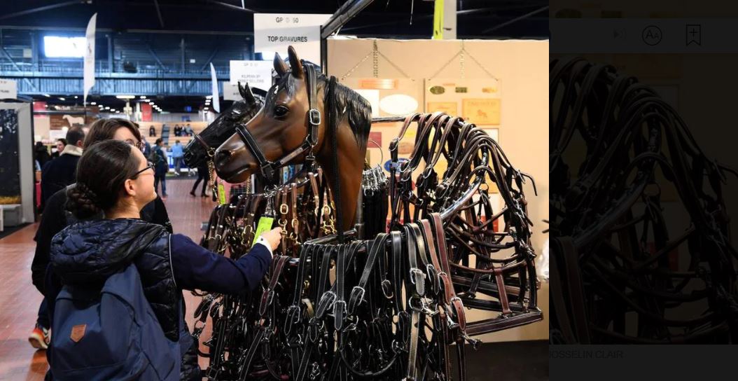 Angers. Le Salon du cheval revient au galop pour quatre jours du 11 au 14 novembre