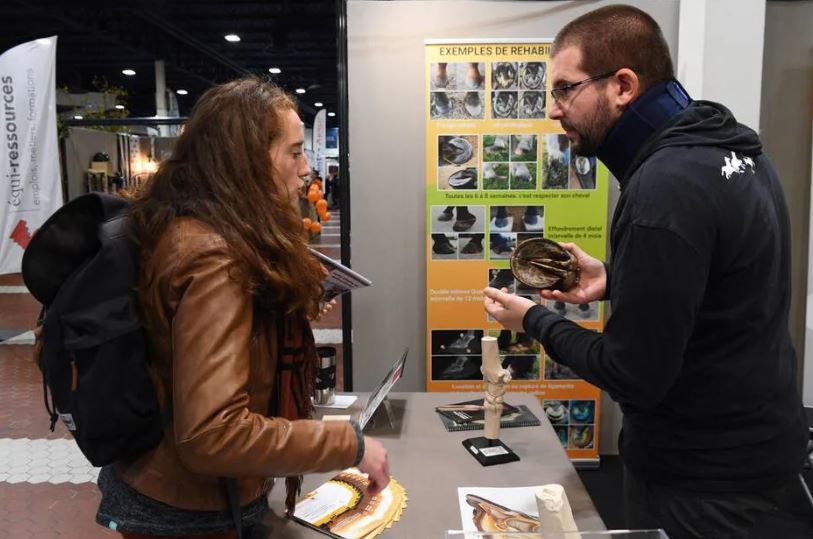 Angers. Le tourisme et la formation au cœur du Salon du cheval