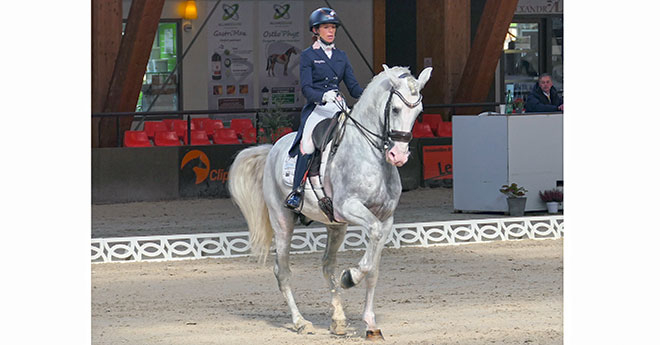 CDI 3* Le Mans : Charlotte Chalvignac prépare deux chevaux pour demain