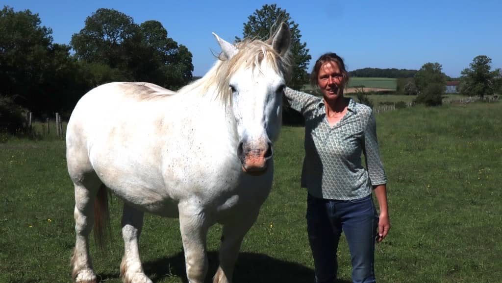 Christine Sallé, débardeuse en forêt avec chevaux de trait