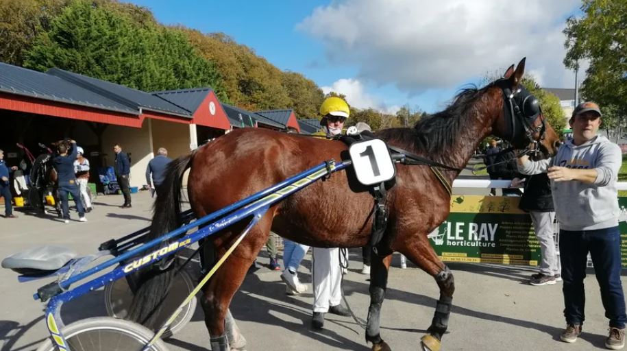 "On n'a pas de temps à perdre" : comment les jockeys préparent leurs chevaux à l'hippodrome de Laval