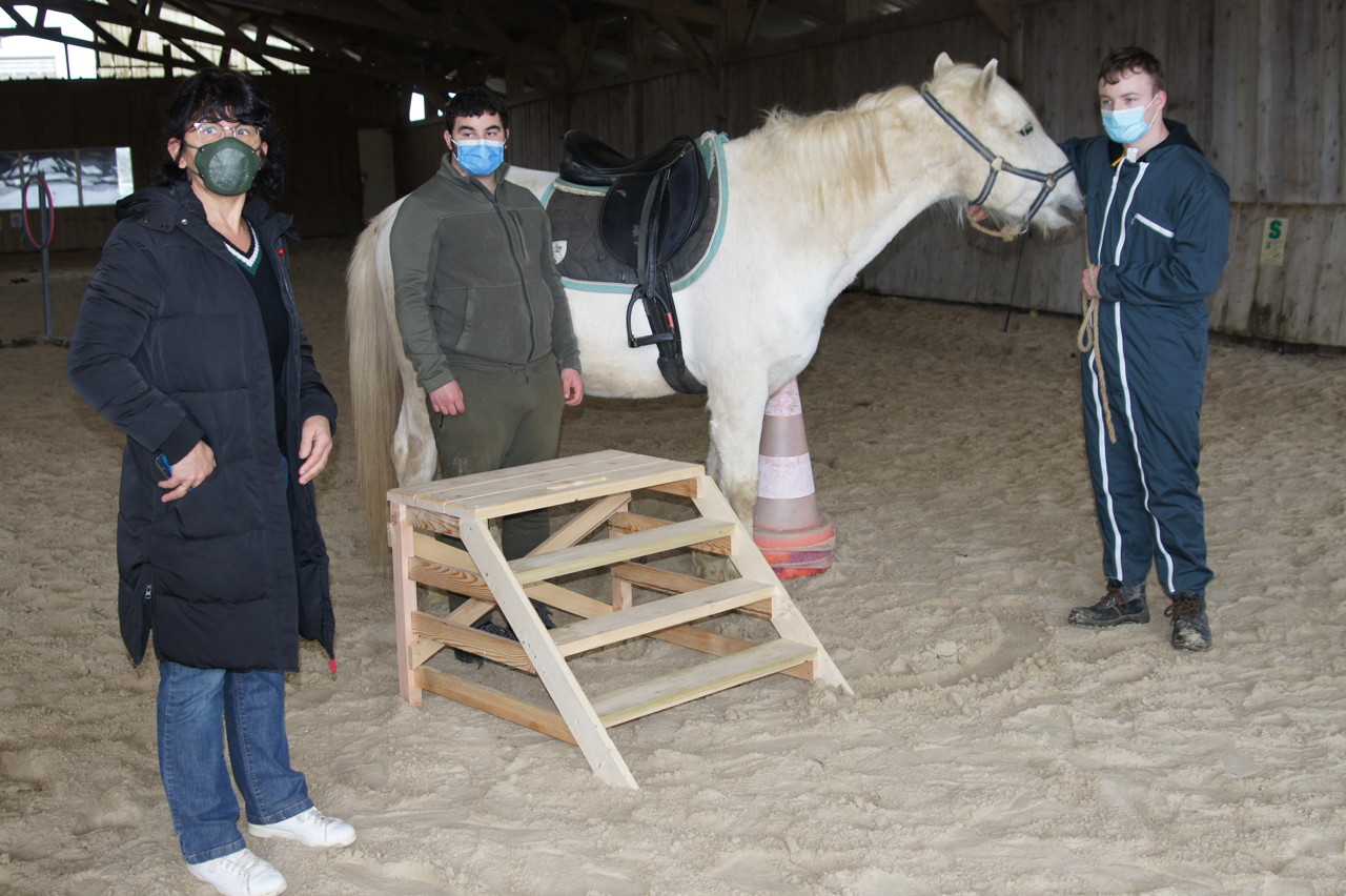 En Mayenne, ils créent des montoirs pour chevaux pour faciliter la pratique de l'équitation