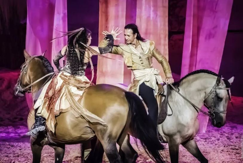 Maine-et-Loire. Tourisme, loisirs, spectacle… Le salon du cheval pendant quatre jours à Angers