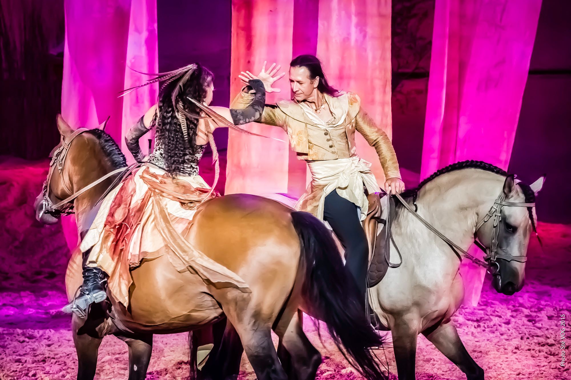 La 5ème édition du Salon du Cheval d’Angers ouvre ses portes demain !