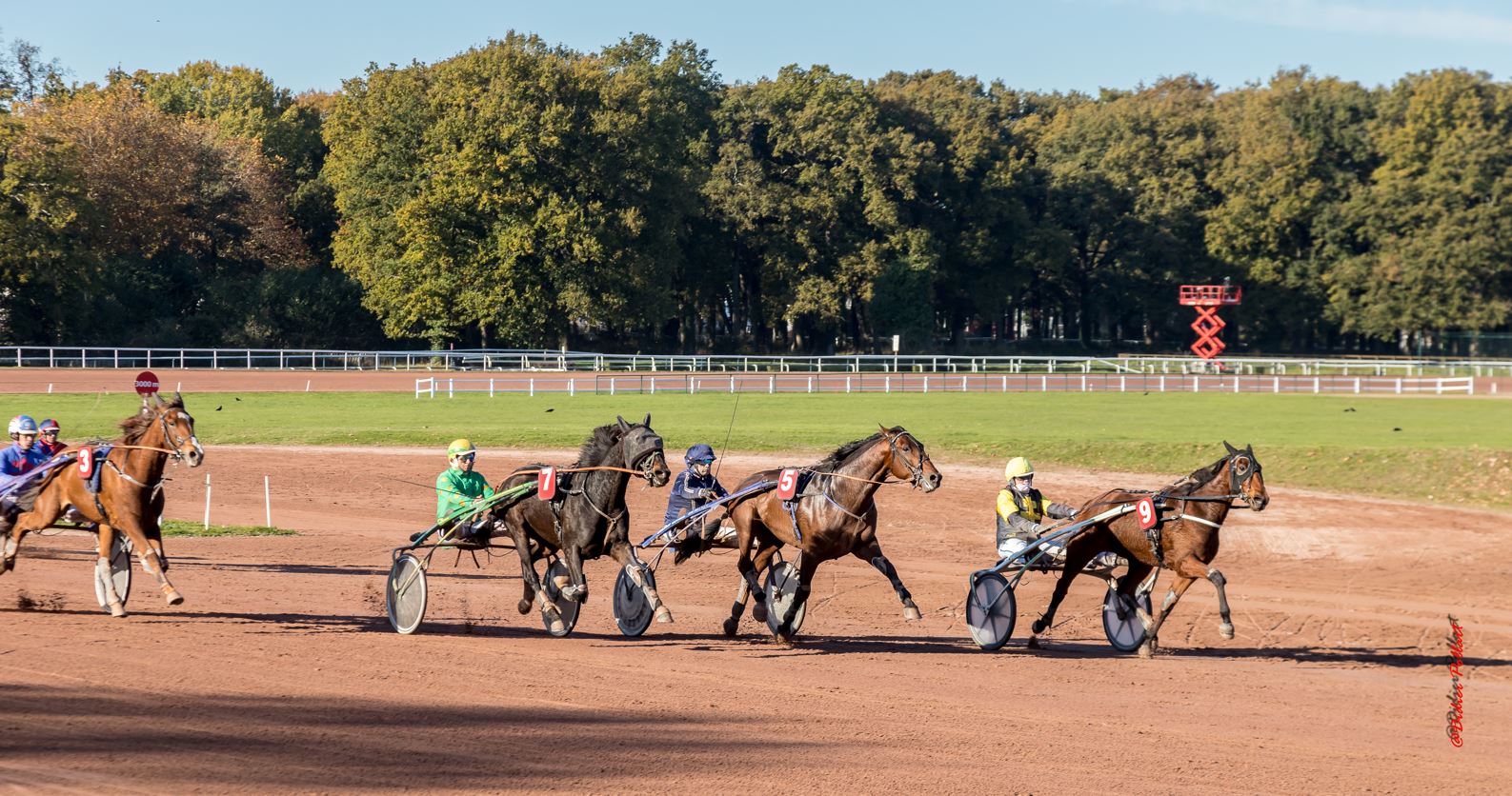 Au trot vers le Petit Port !