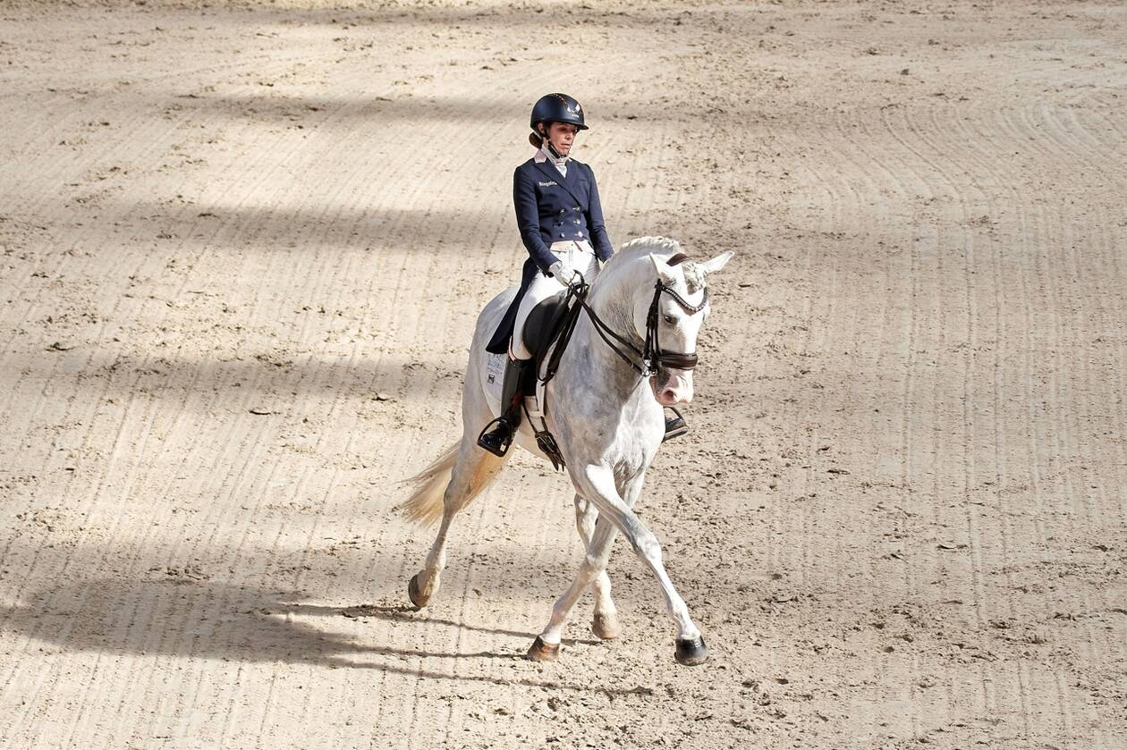 Équitation. Dressage au Boulerie : dernière étape avant la finale