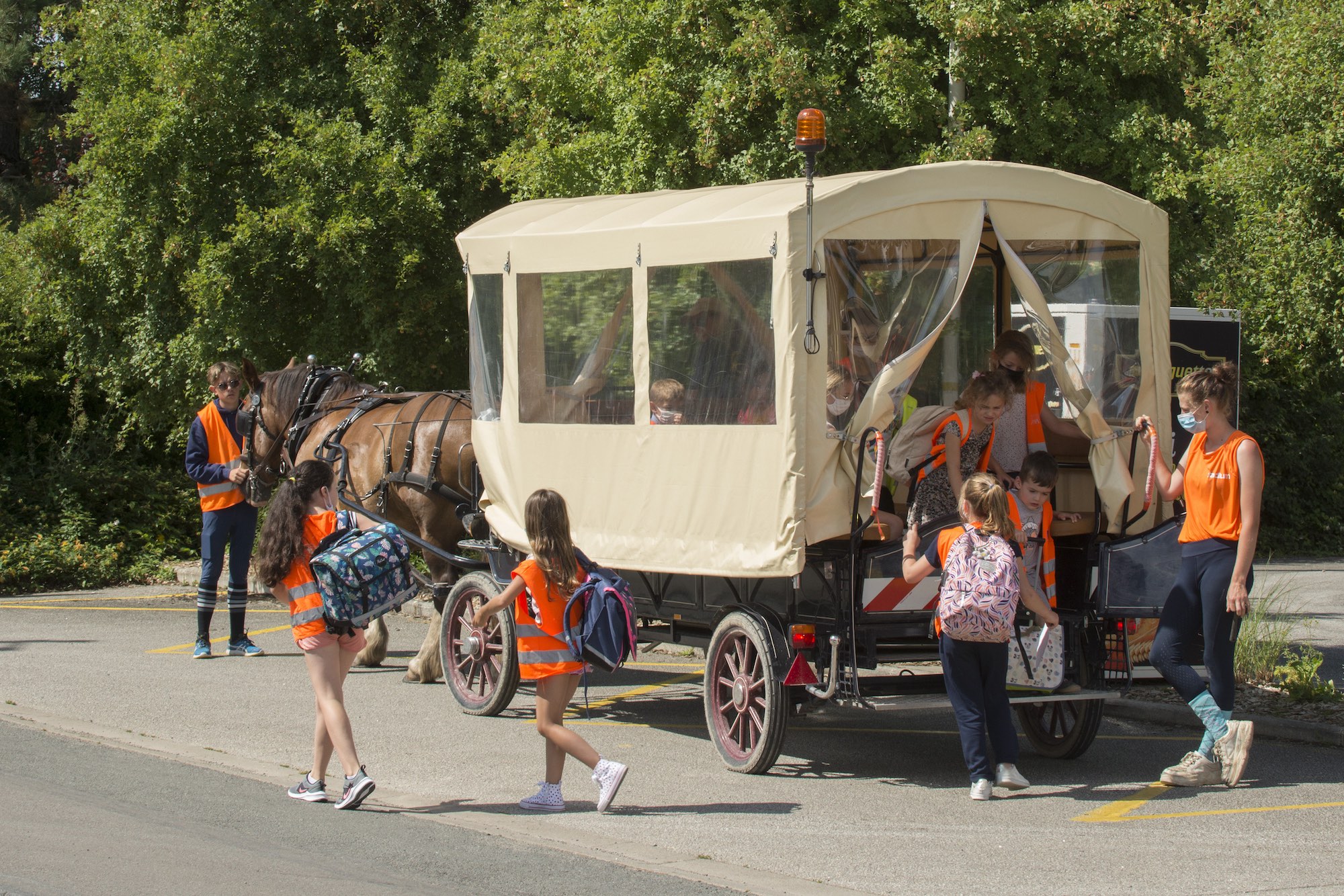 Le label Cheval Territorial récompensé au Salon des Maires