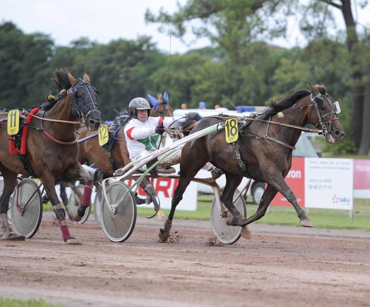 Sarthe. Le Tour de France des cracks passe par l’hippodrome du Mans mercredi