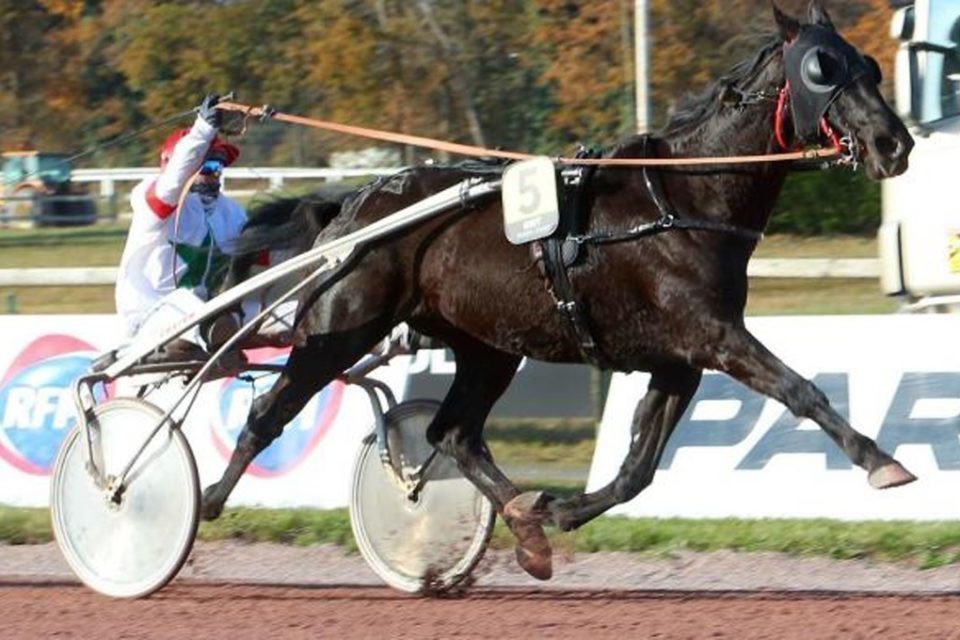 Hippisme. Stéphane Provoost remporte le quinté au Mans et place deux chevaux sur le podium du GNT.