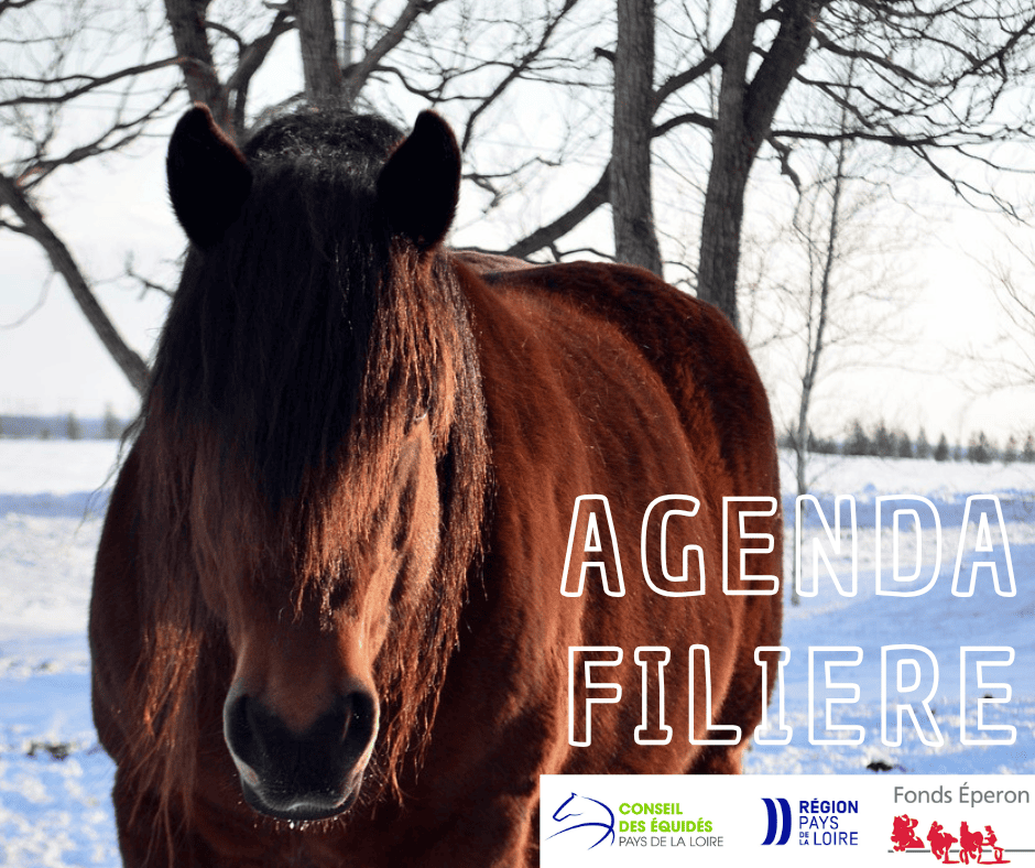 AGENDA FILIERE EQUINE // DECEMBRE 2025