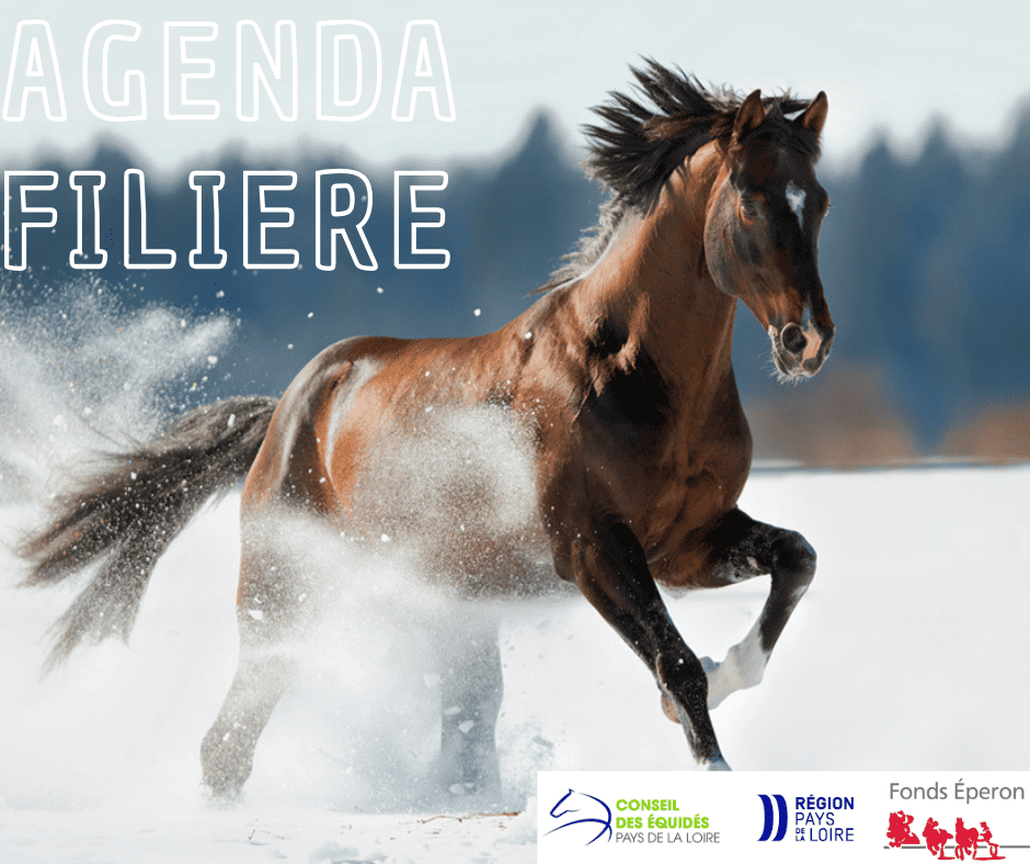 AGENDA FILIERE EQUINE // JANVIER 2026
