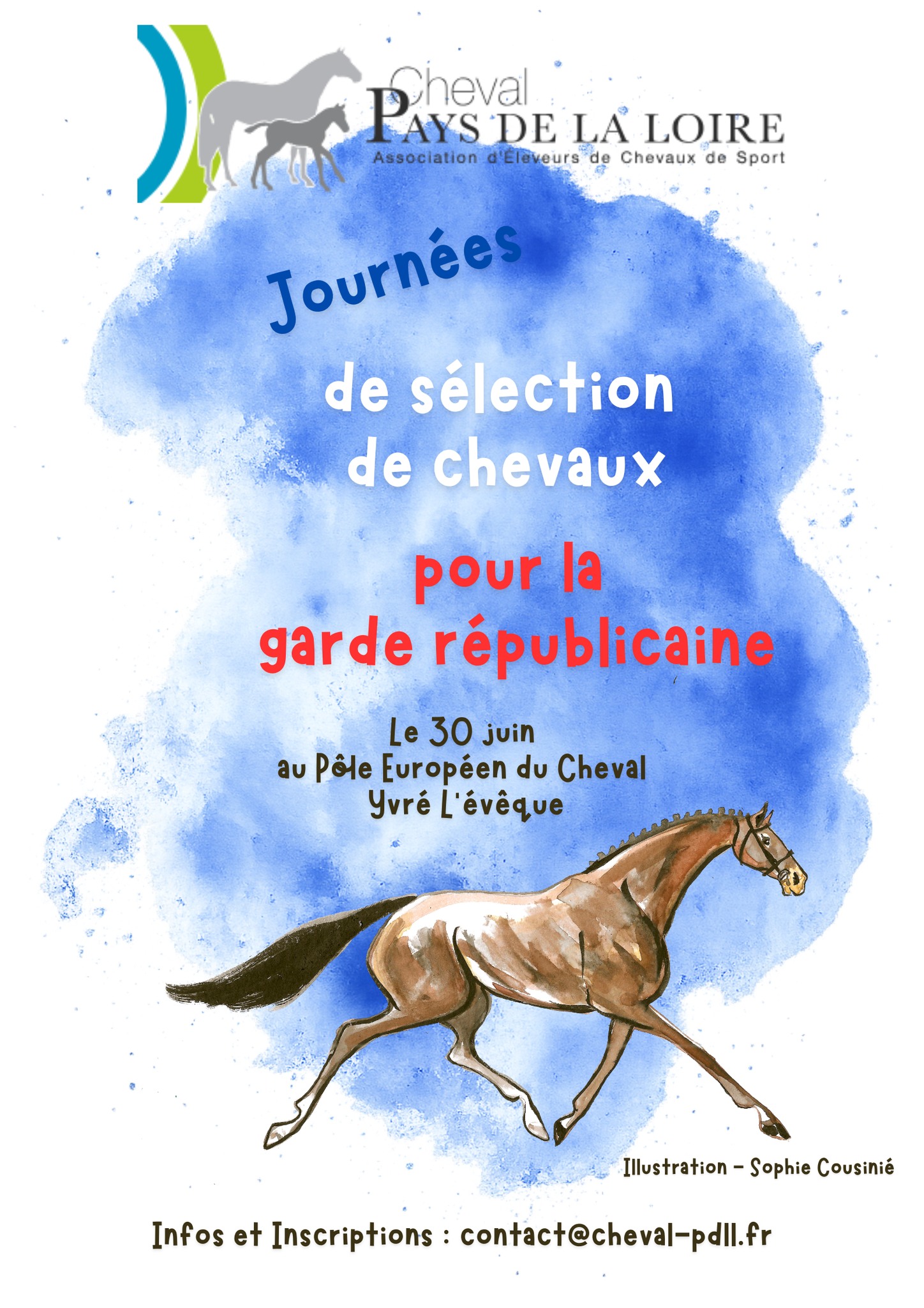 Journée de sélection de chevaux pour la Garde républicaine
