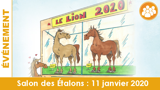 Salon des étalons de courses au Lion d'Angers