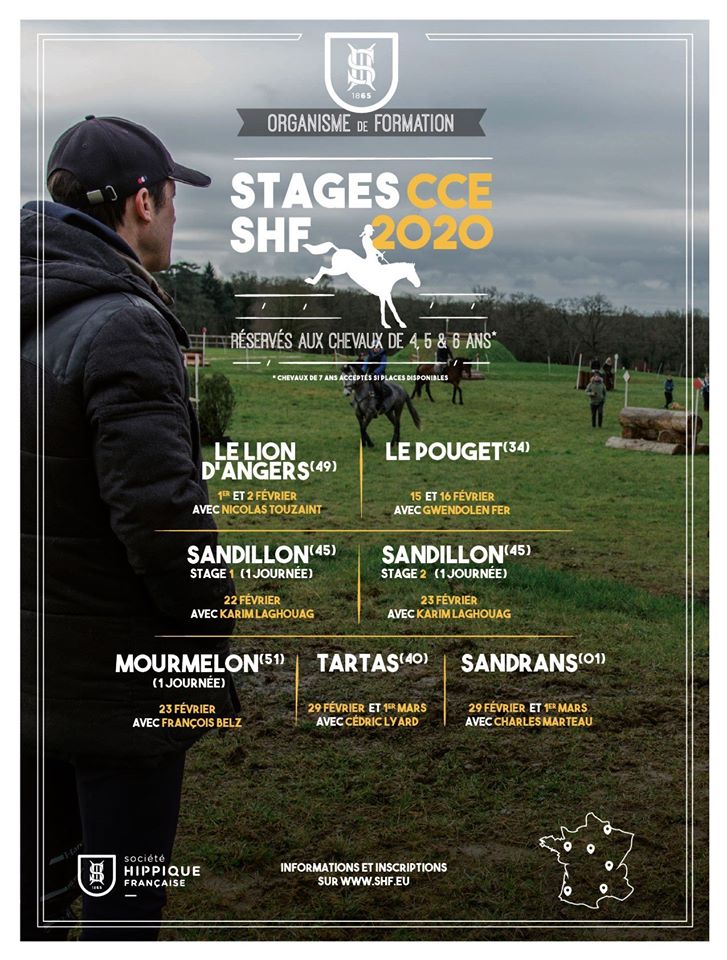 Stage CCE jeunes chevaux avec Nicolas Touzaint