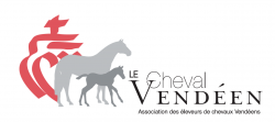 Concours modèle et allures foals et labellisation poulinières à Serigné et Sainte Perrine