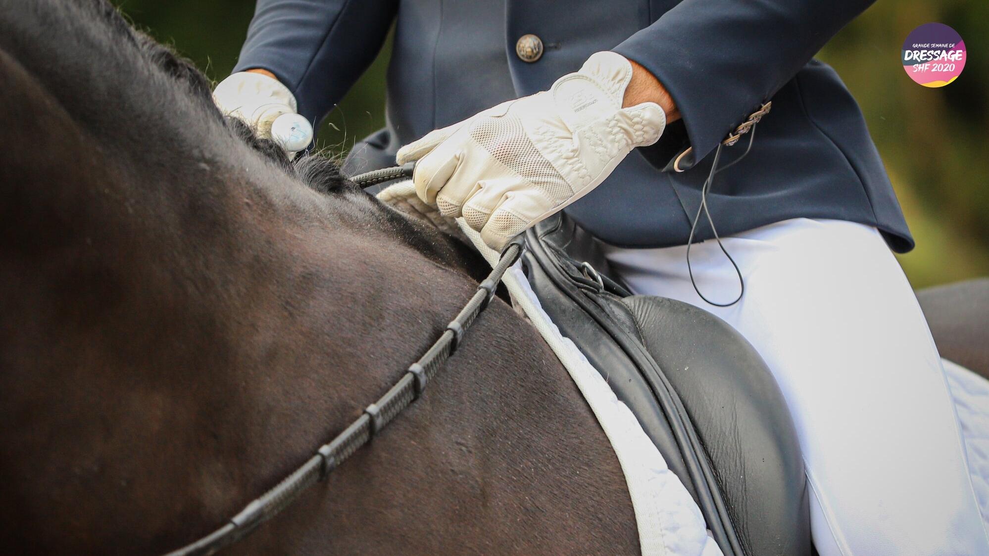 FORMATION SHF dressage à distance : cavaliers, entraineurs, propriétaires