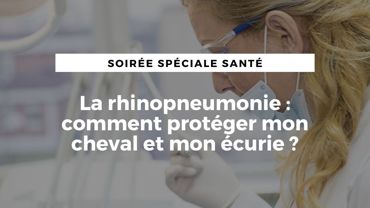 [Live] La rhinopneumonie : comment protéger mon cheval et mon écurie ?