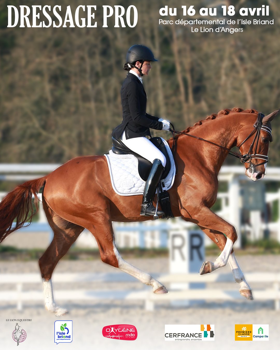 Concours de dressage - Le Lion d'Angers