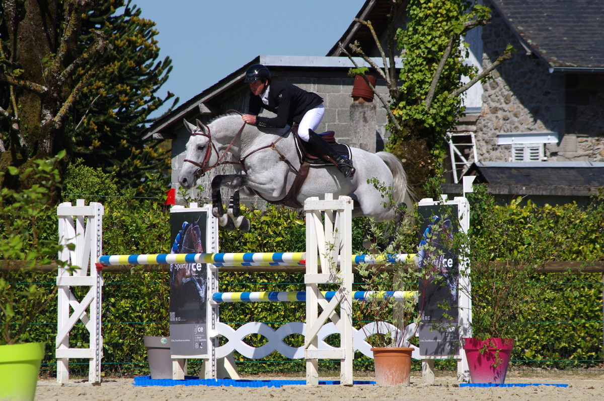 Webconference IFCE : Exploitation des chevaux, contrat et responsabilité
