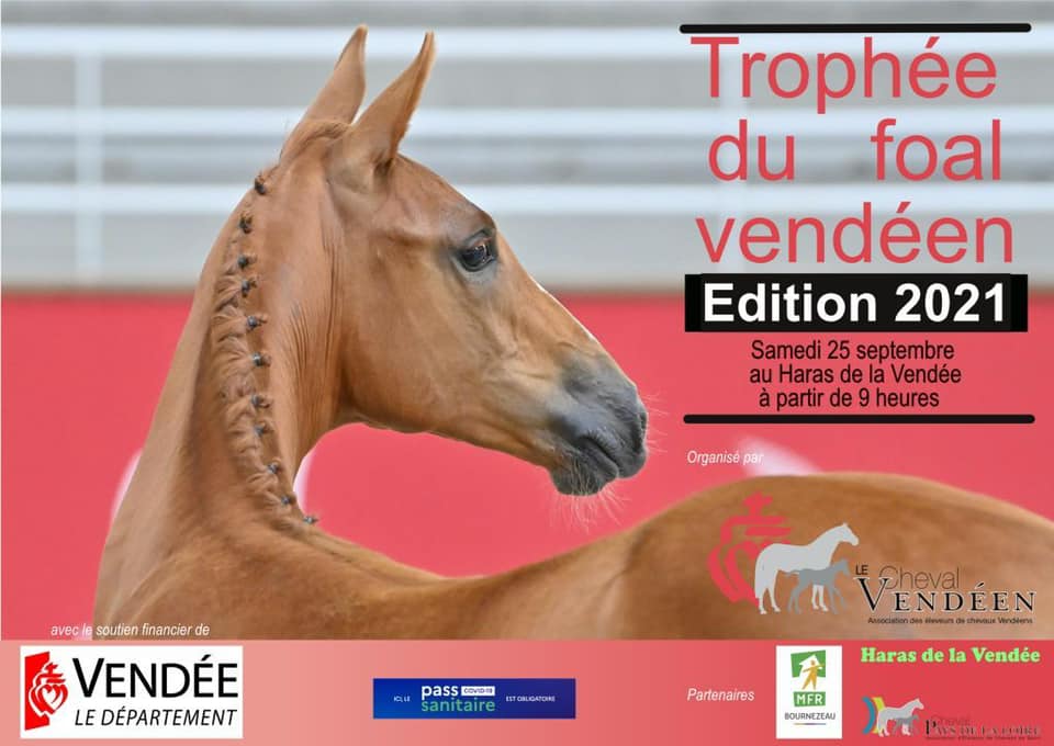 Trophée du foal vendéen