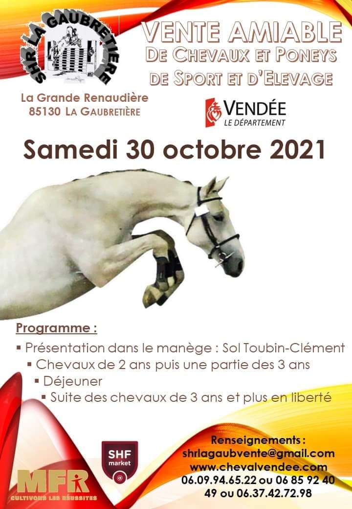 Vente de chevaux et poneys de sport et d'élevage - La Gaubretière