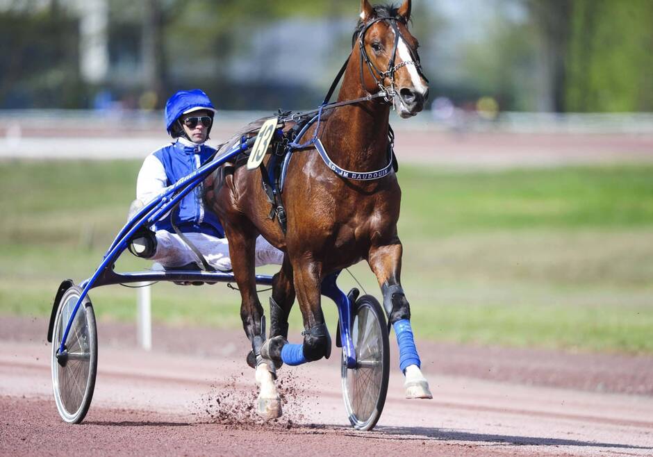 Le Grand National du Trot fait étape à Nantes