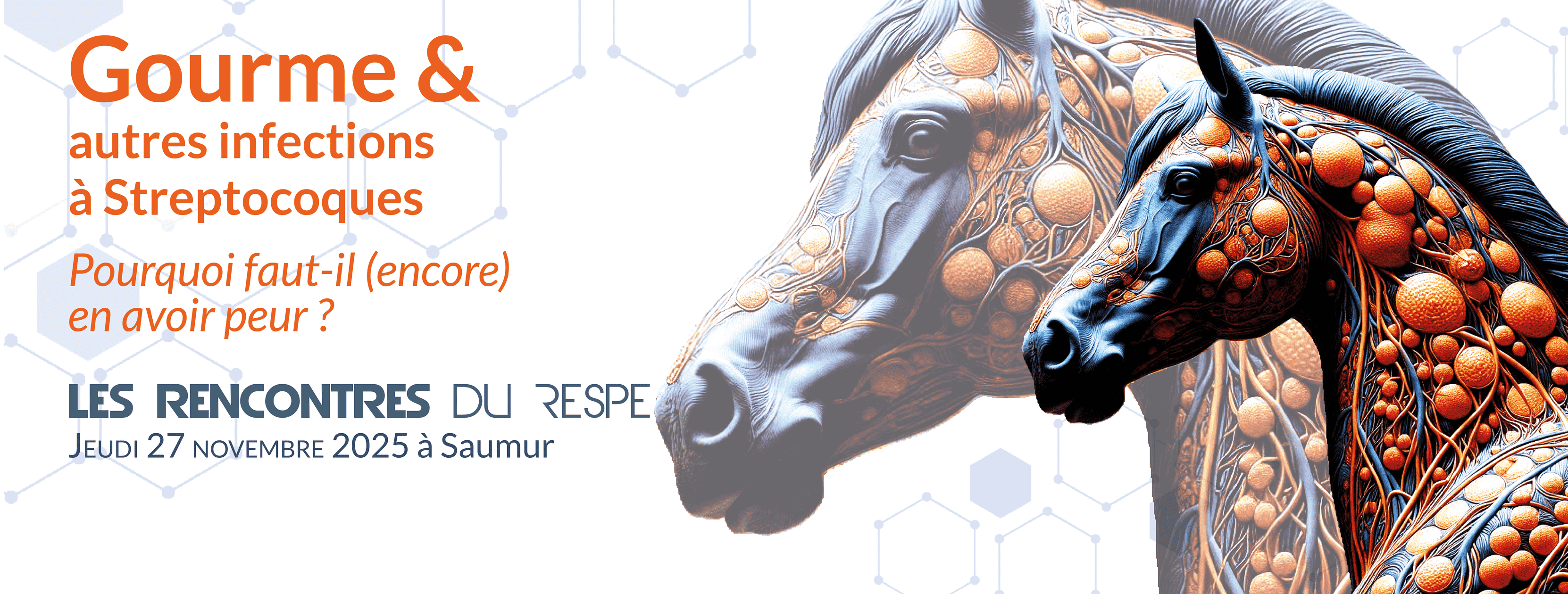 Les Rencontres du RESPE : Gourme et autres infections à streptocoques, pourquoi faut-il (encore) en avoir peur ?